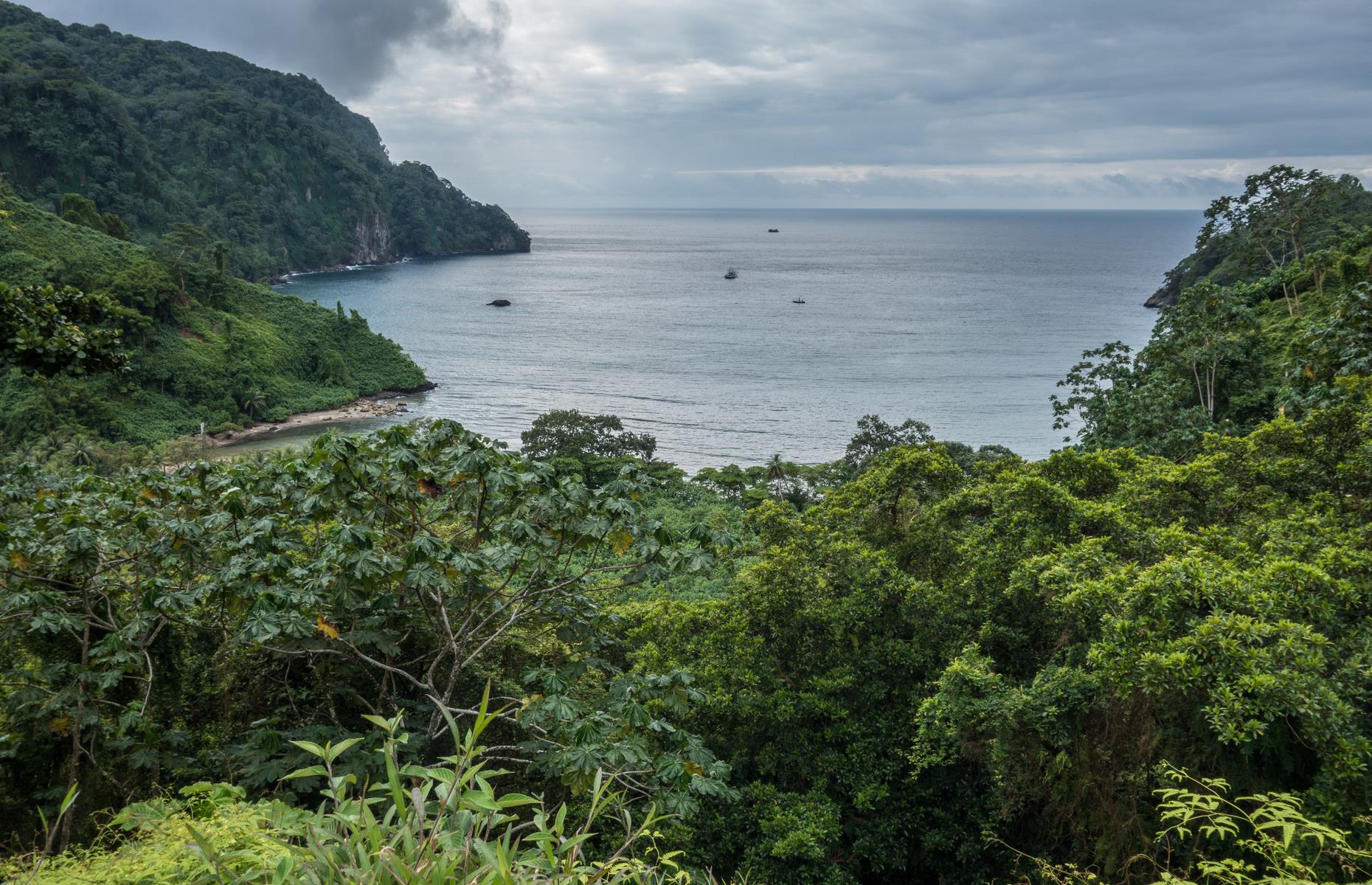 Cocos Island National Park, Costa Rica